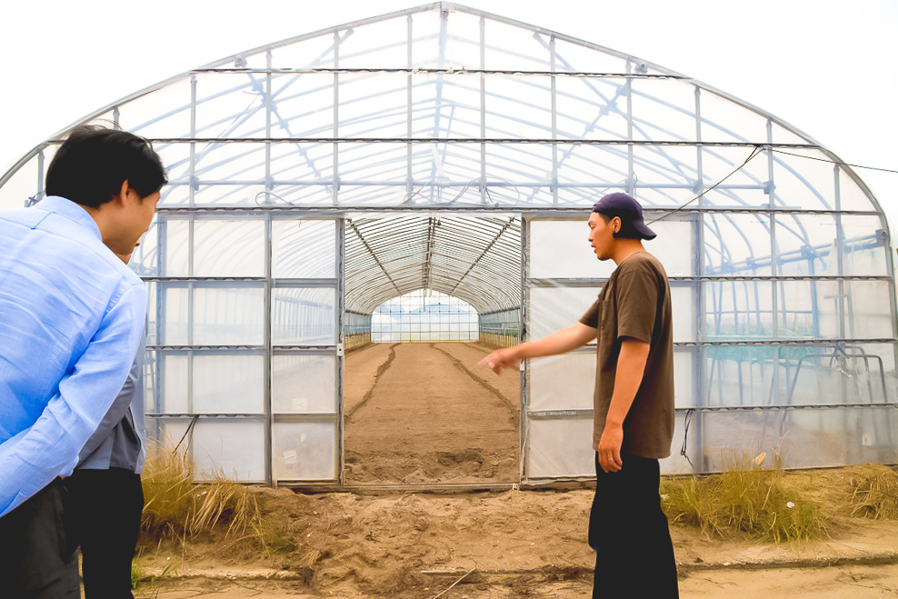 新潟のいちご農家の様子